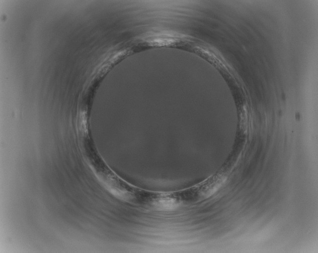 X0000080770598200612151436