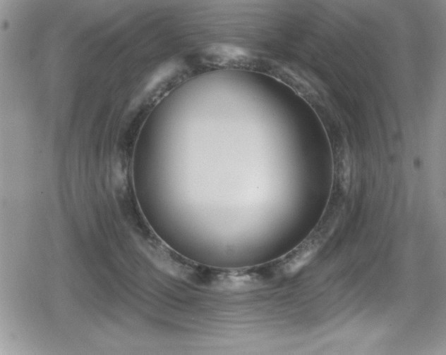 X0000080770607200612151436