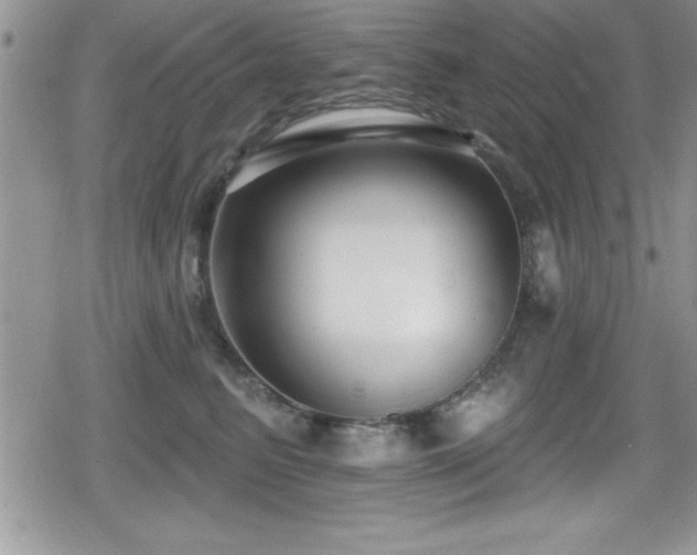 X0000080770615200612151436