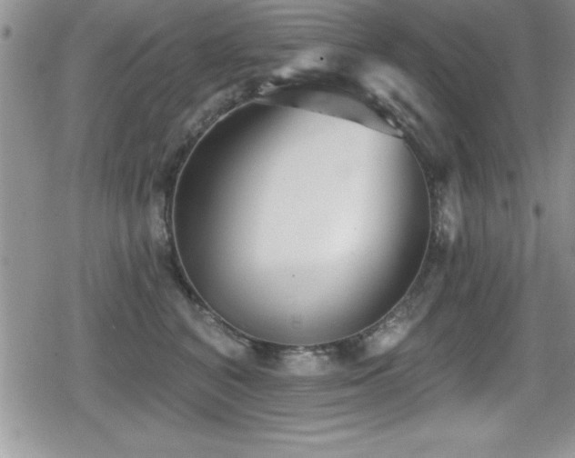 X0000080770616200612151436