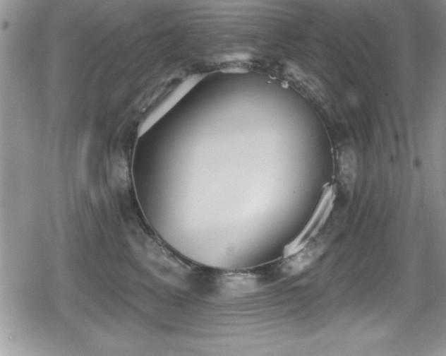 X0000080770617200612151436