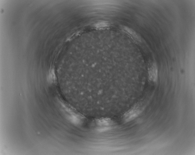 X0000080770618200612151436