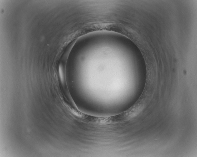 X0000080770624200612151436