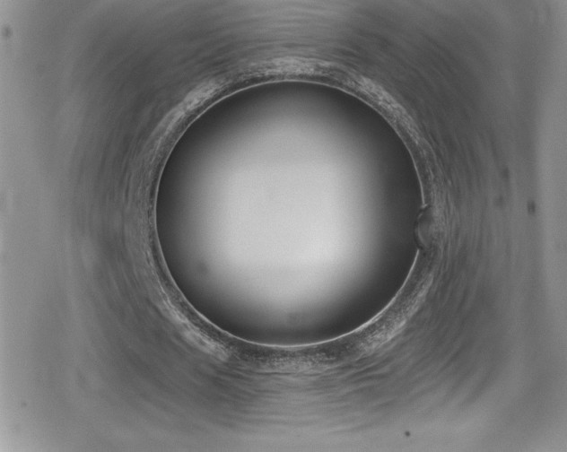 X0000080770625200612151435