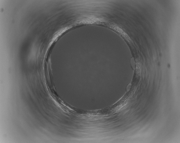 X0000080770626200612151435
