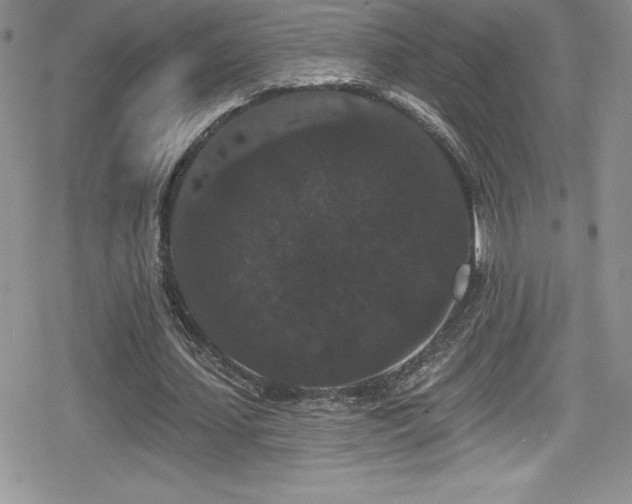 X0000080770627200612151435