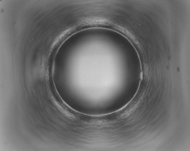 X0000080770629200612151435