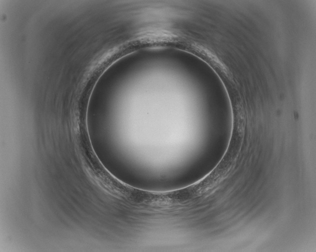 X0000080770631200612151435