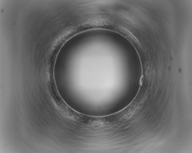 X0000080770635200612151435
