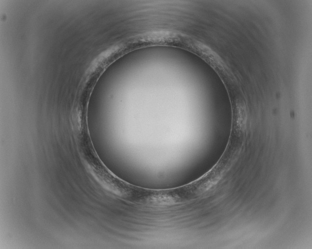 X0000080770636200612151435