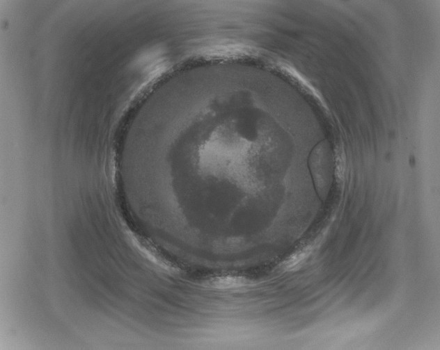 X0000080770637200612151435