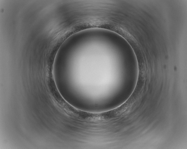 X0000080770639200612151435