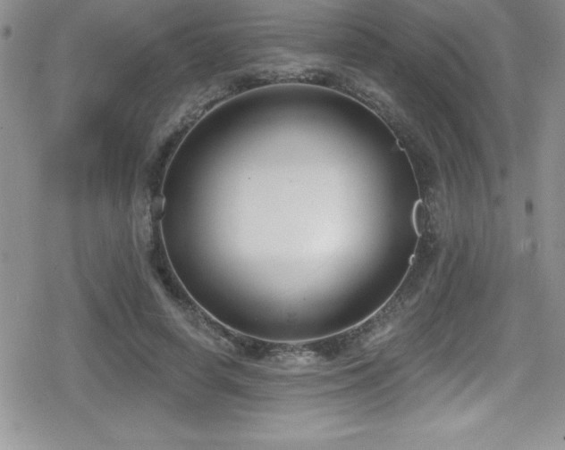 X0000080770642200612151435