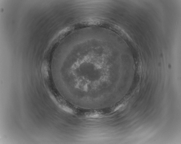 X0000080770643200612151435