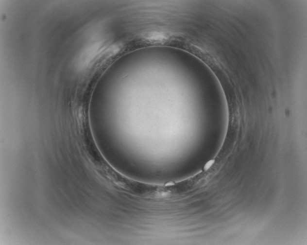 X0000080770647200612151435