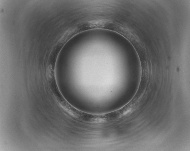 X0000080770649200612151436