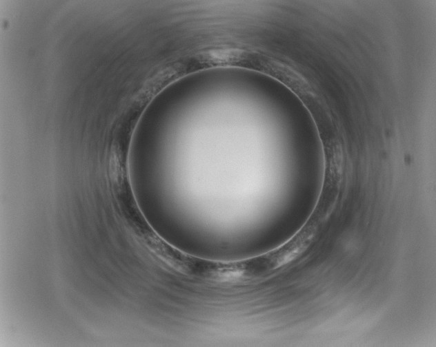 X0000080770651200612151436