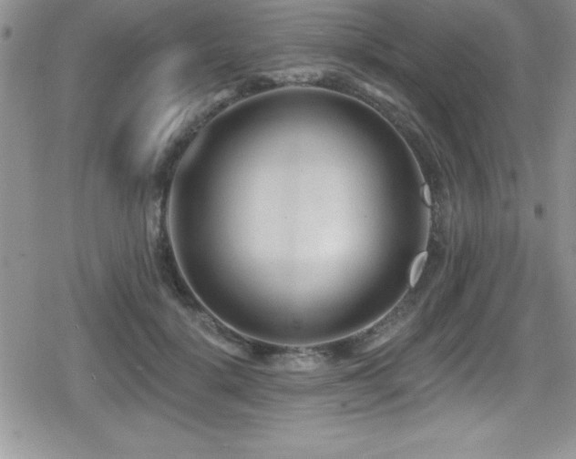 X0000080770652200612151436