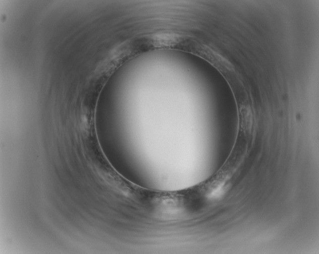 X0000080770655200612151436