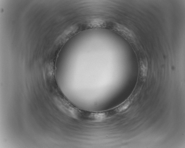 X0000080770665200612151436