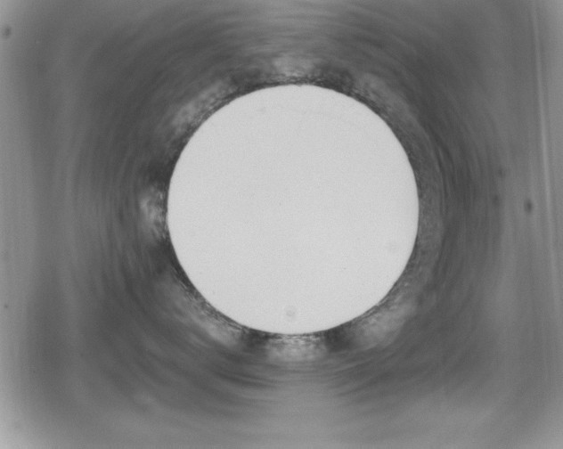 X0000080770672200612151436