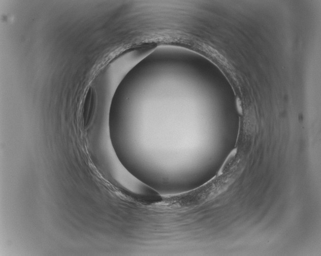 X0000080770673200612151435