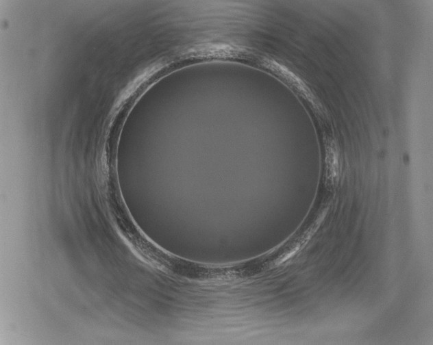 X0000080770674200612151435
