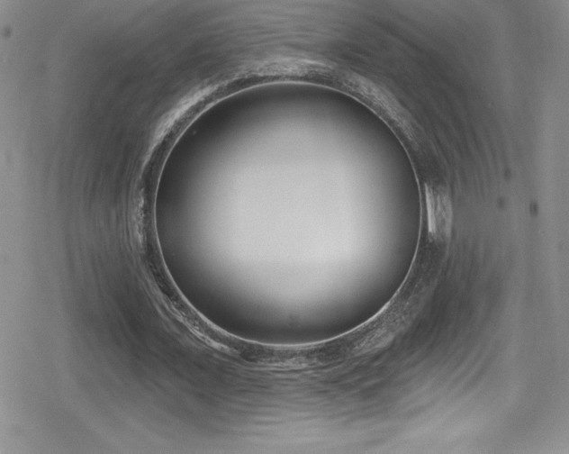 X0000080770675200612151435