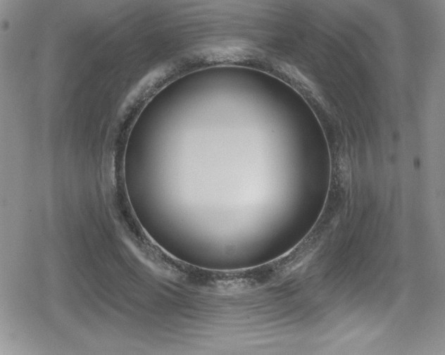 X0000080770686200612151435