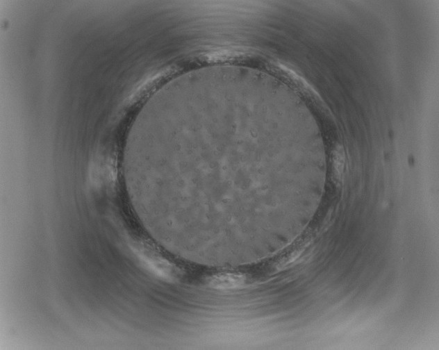 X0000080770691200612151435