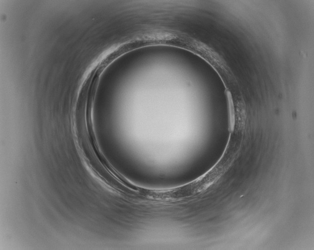 X0000080770726200612151434