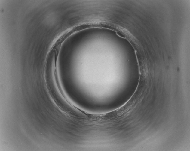 X0000080770728200612151434