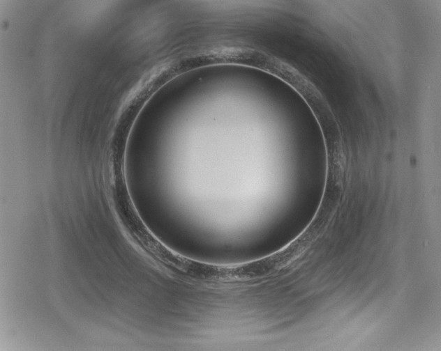 X0000080770734200612151434