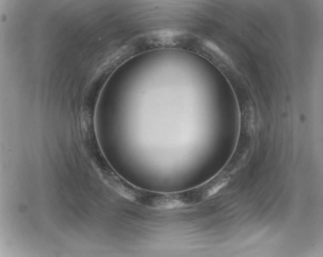 X0000080770747200612151434