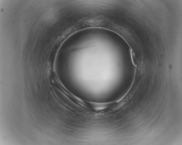 X0000080770752200612151434