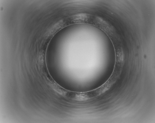 X0000080770753200612151434