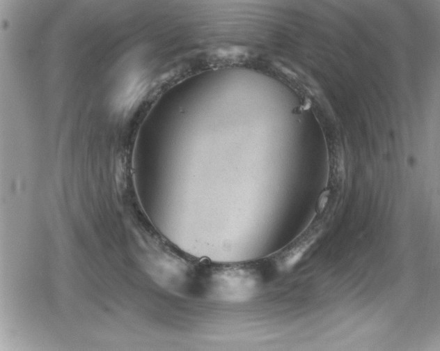 X0000080770759200612151434