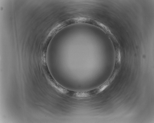 X0000080770766200612151434