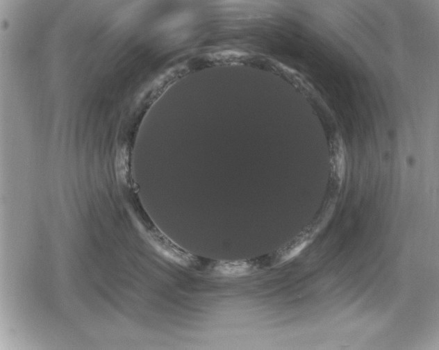 X0000080770767200612151434