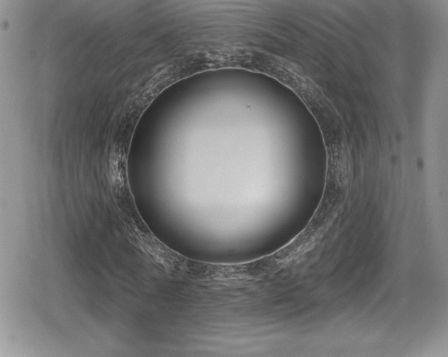 X0000080770770200612151434