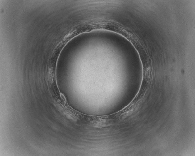X0000080770772200612151433