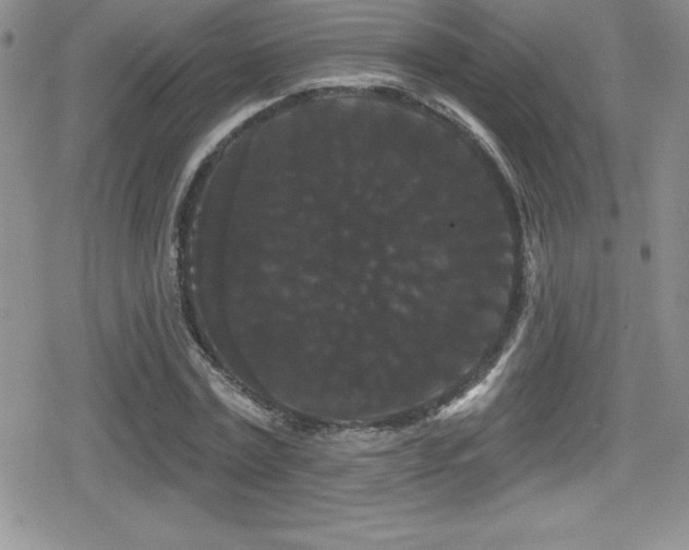 X0000080770779200612151433