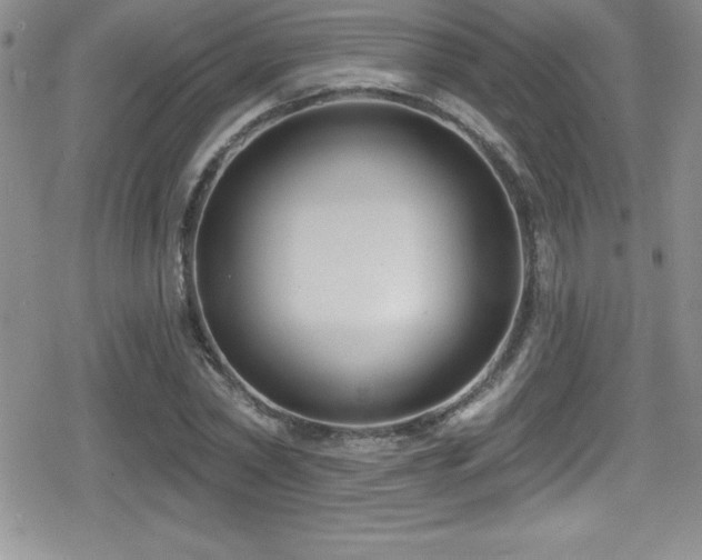 X0000080770782200612151433