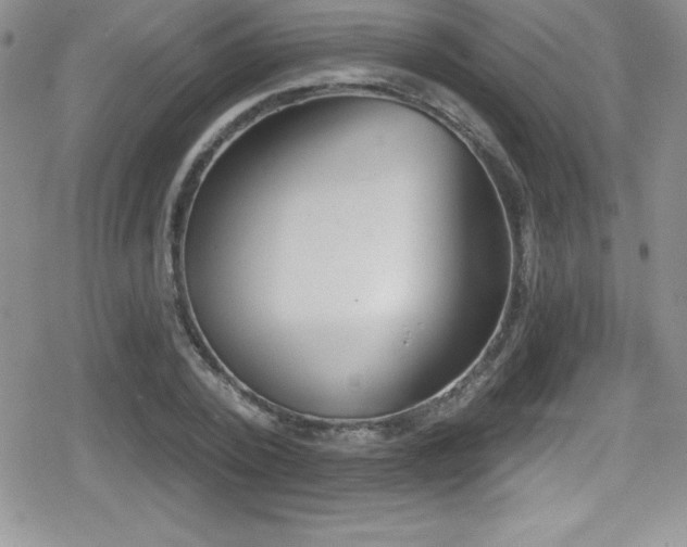 X0000080770784200612151433