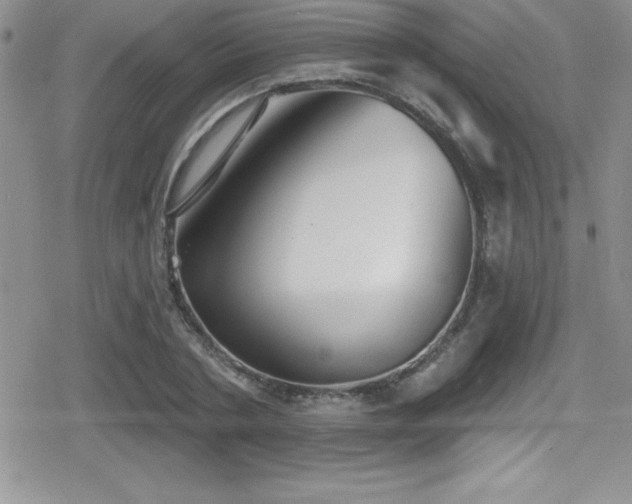 X0000080770786200612151433