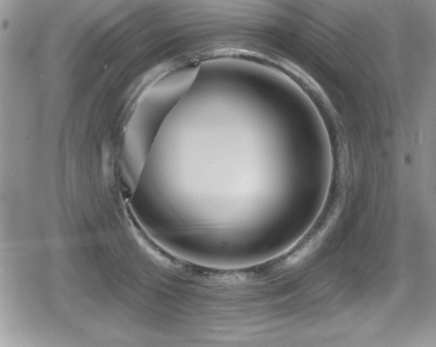 X0000080770801200612151433