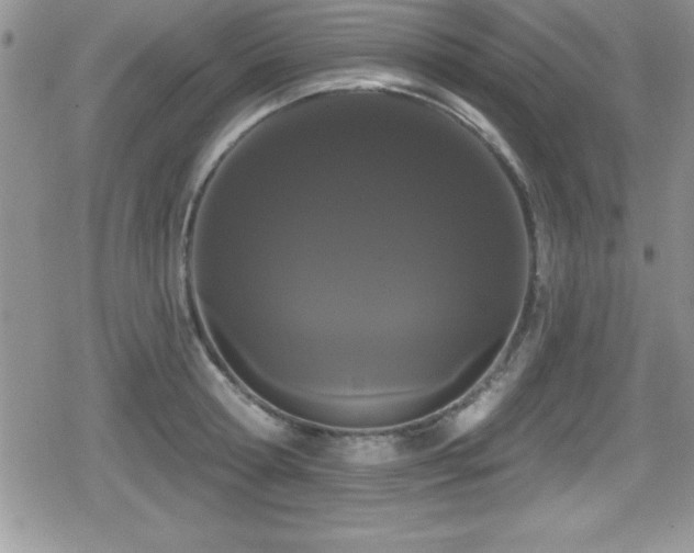 X0000080770802200612151433