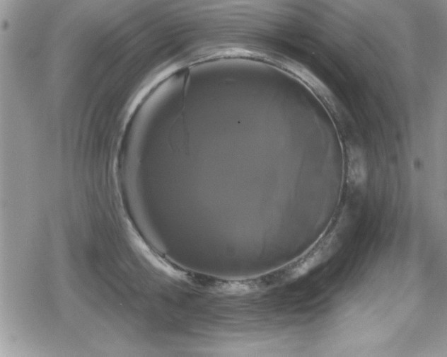 X0000080770806200612151433