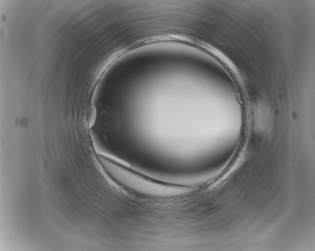 X0000080770809200612151433