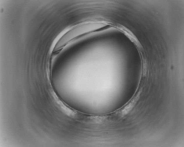 X0000080770812200612151433